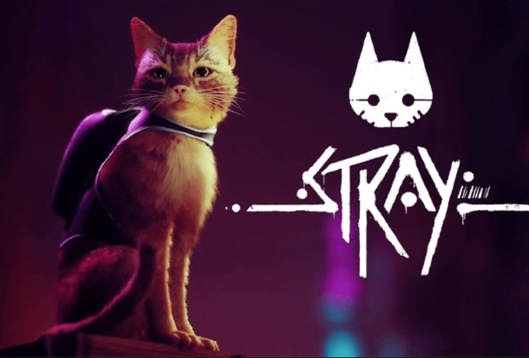 Stray